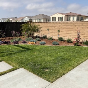 Photo of Modern Image Landscape Construction
