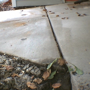 Photo of Solid Ground