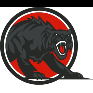 Photo of Panther Cleaning