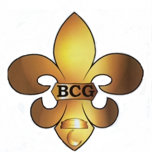 Photo of BCG Management