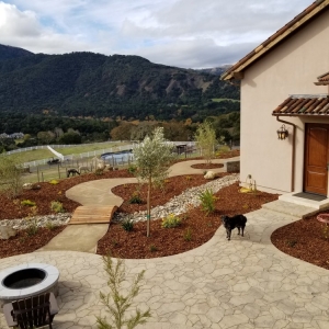 Photo of Black Diamond Paver Stones & Landscape