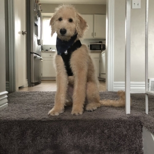 Midvale One Source Carpet Cleaning