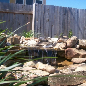Austin Chris Martin Design & Landscape