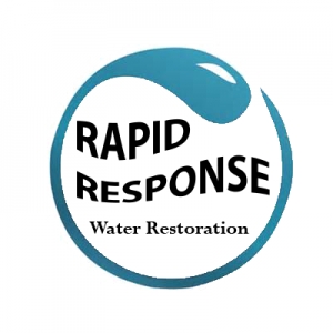 Photo of Rapid Response Water Restoration
