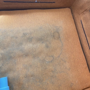 Photo of USA Carpet & Upholstery Cleaning