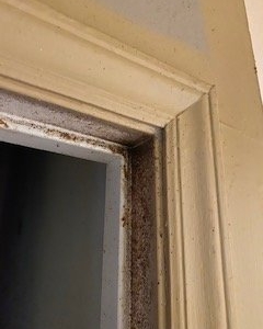 Photo of Southern Restoration & Construction