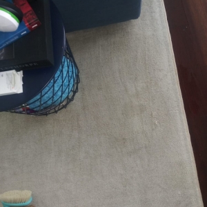 Photo of NYC Local Carpet
