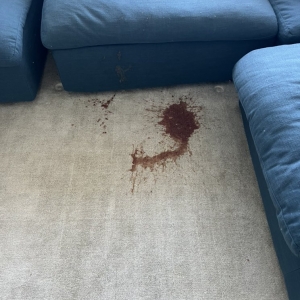 Photo of NYC Local Carpet
