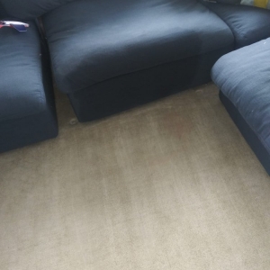 Photo of NYC Local Carpet