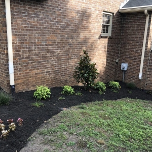 Photo of Primm's Landscaping