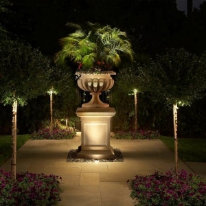 Photo of Twilight Solutions