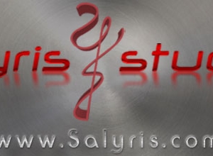 Photo of Salyris Studios