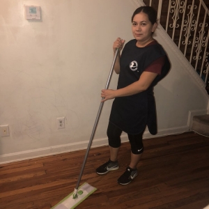 Baltimore Gold Cleaning Services
