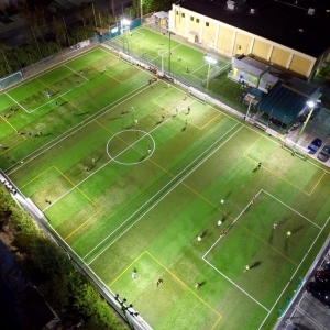 Photo of Evergreen Turf