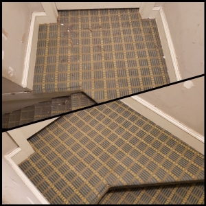 Levittown Floirendo's Carpet Cleaning