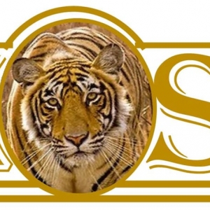 Photo of ZTigerS Consult