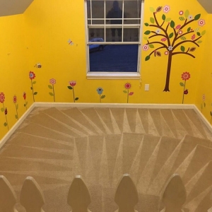 Photo of Tennessee Carpet Cleaning