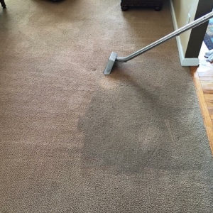 Photo of Tennessee Carpet Cleaning