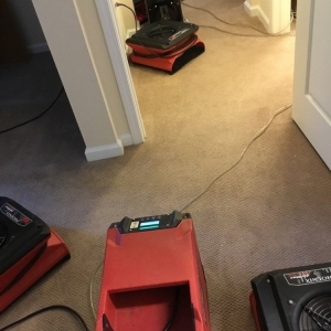 Photo of Simple Solutions