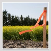 Photo of Aerial Land Surveying