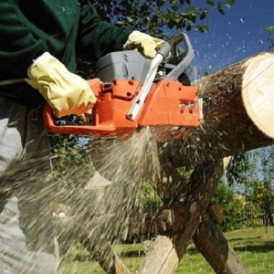 Photo of Giffin Tree Service
