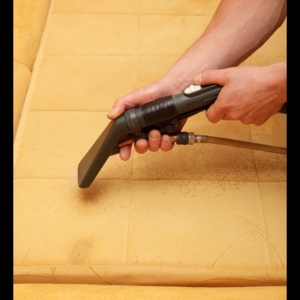 Photo of TLC Domestic Services Ltd