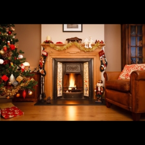Photo of TLC Domestic Services Ltd