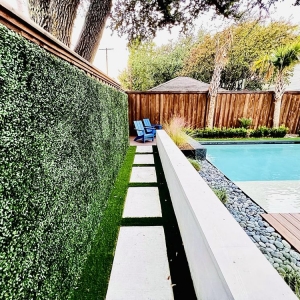 Photo of Living Water Custom Pools