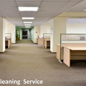 Photo of Eco Carpet Cleaning