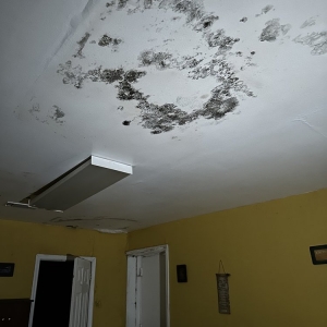 Photo of Strategic Water & Mold Restoration