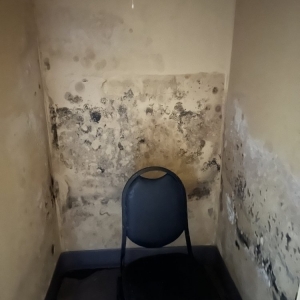 Photo of Strategic Water & Mold Restoration