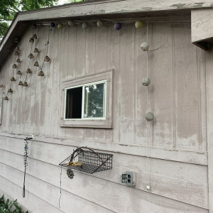 Photo of Clear Cut Xteriors