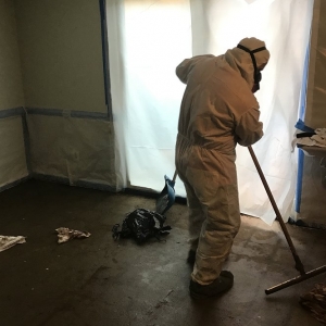 Alexandria Bay View Restoration