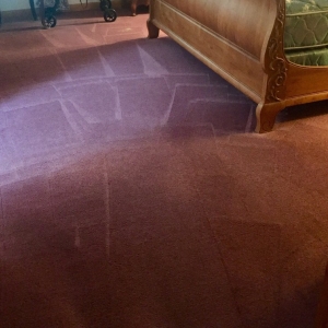 Photo of Kapllan Cleaning