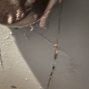 Photo of Premier Painters & Drywall