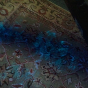 Photo of Sunshine Fabric Cleaning & Restoration