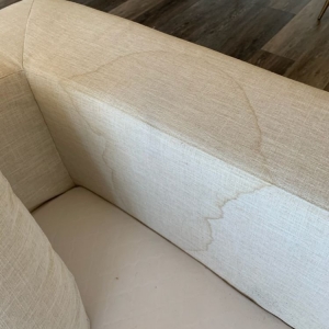 Photo of Professional Carpet Restoration