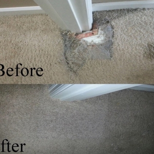 Photo of Serenity Carpet Restoration