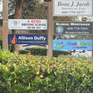Photo of Allison Duffy CPA