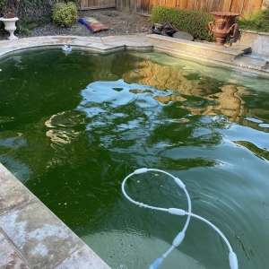 Brentwood Atlantis Pool Service