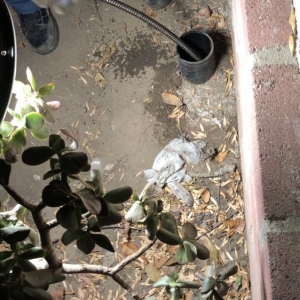 Photo of Expert Plumbing & Rooter