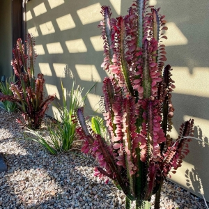 Photo of All Terrain Landscaping