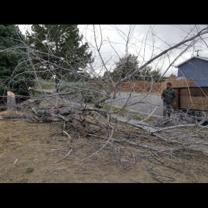 Photo of J & K Fencing And Landscaping