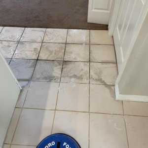 Photo of Gator Carpet Cleaning and Water Restoration
