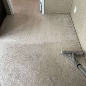 Photo of Gator Carpet Cleaning and Water Restoration