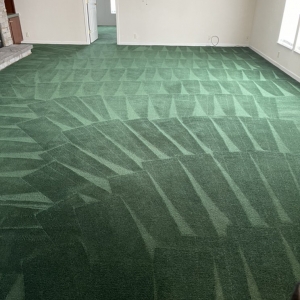 Photo of Gator Carpet Cleaning and Water Restoration