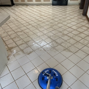 Photo of Gator Carpet Cleaning and Water Restoration