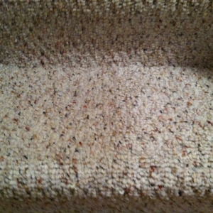 Photo of TJB Services LLC