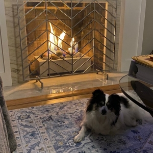 Photo of Bromwell's the Fireplace People