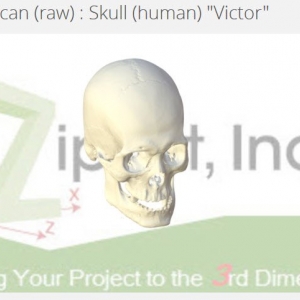 Photo of Zip-Bit